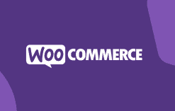Download Pixel Manager for WooCommerce (Premium)