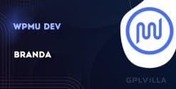 Download WPMU DEV Branda Pro